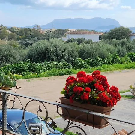 Casa Corallo Pittulongu Όλμπια